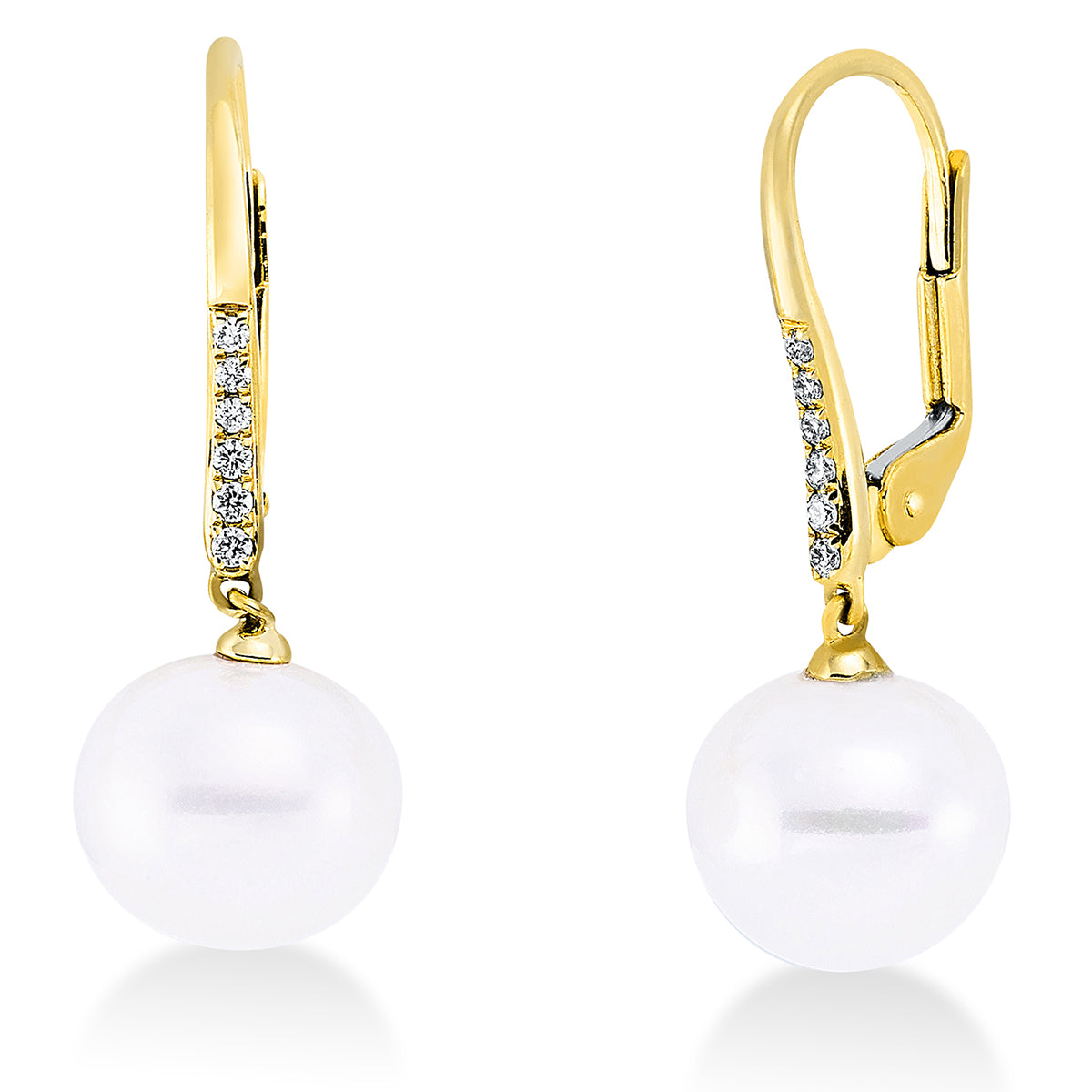 Perle Ohrschmuck - 2Q699